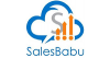 SalesBabu Online CRM